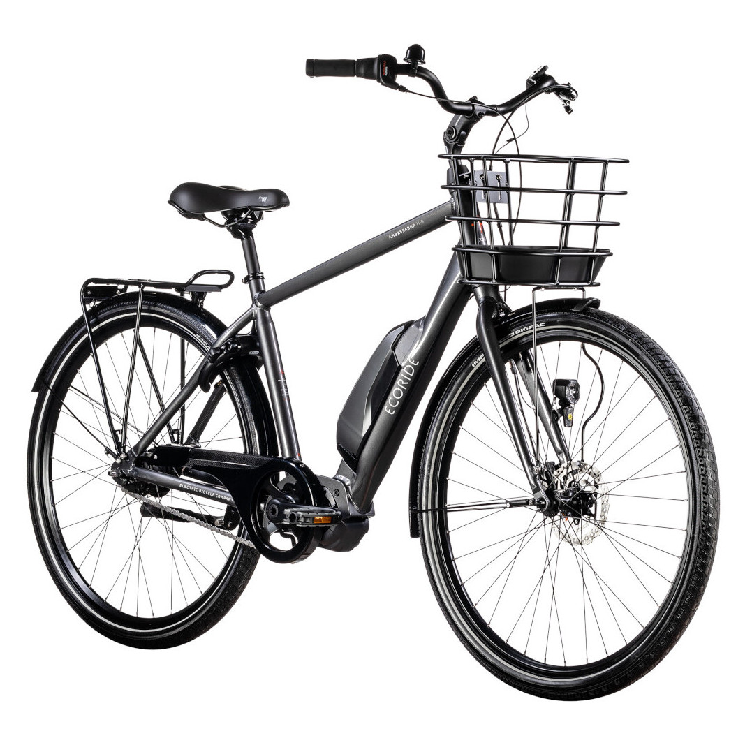 Ecoride Ambassador HS M-5